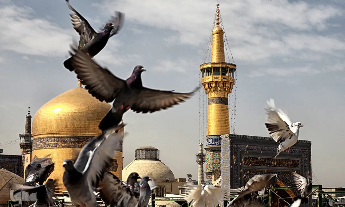 تاثیر معنوی کربلا 